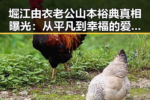 堀江由衣老公山本裕典真相曝光：从平凡到幸福的爱情故事引热议