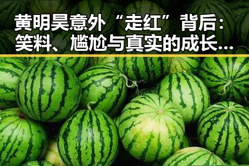 黄明昊意外“走红”背后：笑料、尴尬与真实的成长轨迹