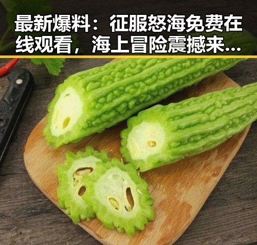 最新爆料：征服怒海免费在线观看，海上冒险震撼来袭！